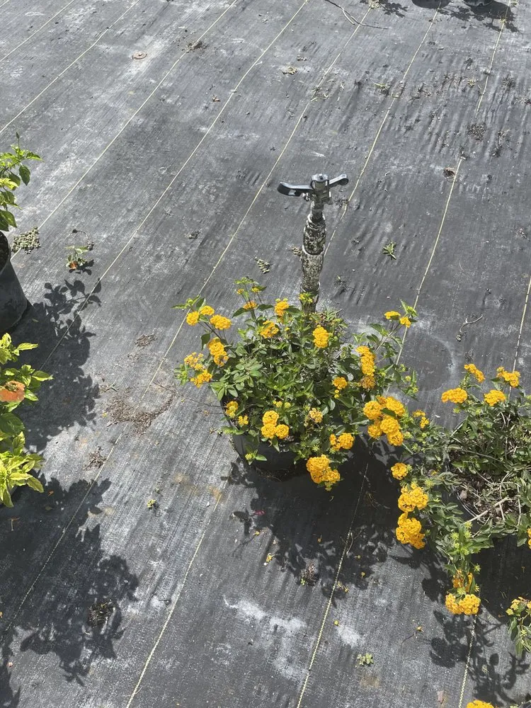 Trusted residential landscaping experts serving Punta Gorda, FL - All In One Irrigation And Repair