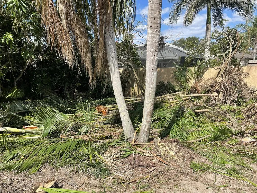 Professional garden landscaping in Punta Gorda, FL by All In One Irrigation And Repair