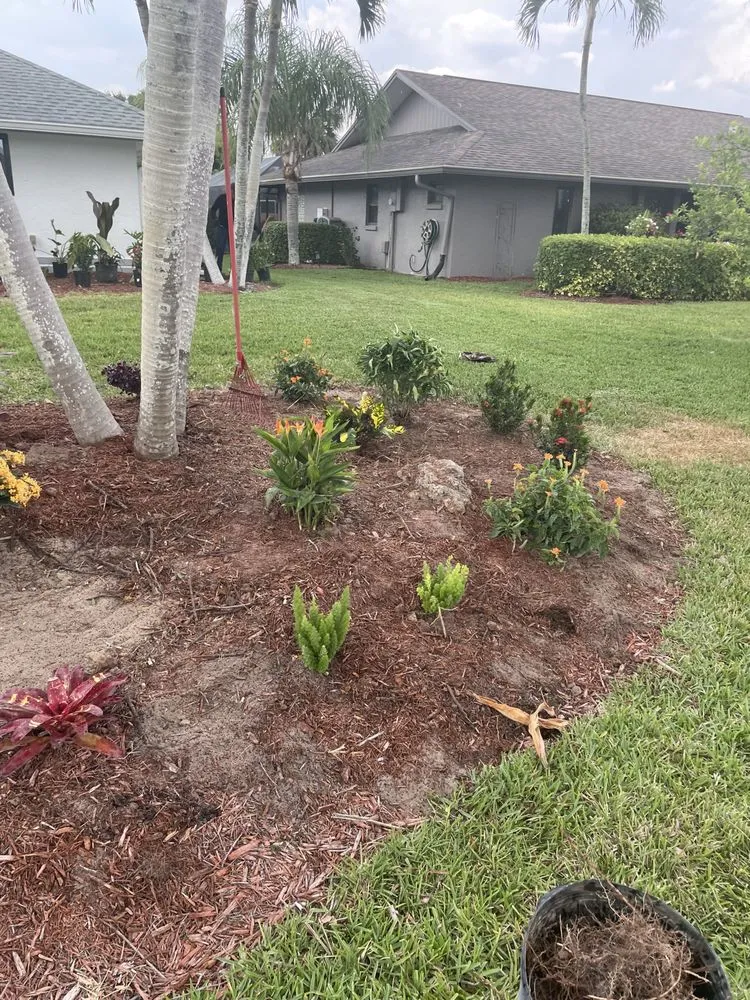 Custom yard cleanup service in Punta Gorda, FL - All In One Irrigation And Repair