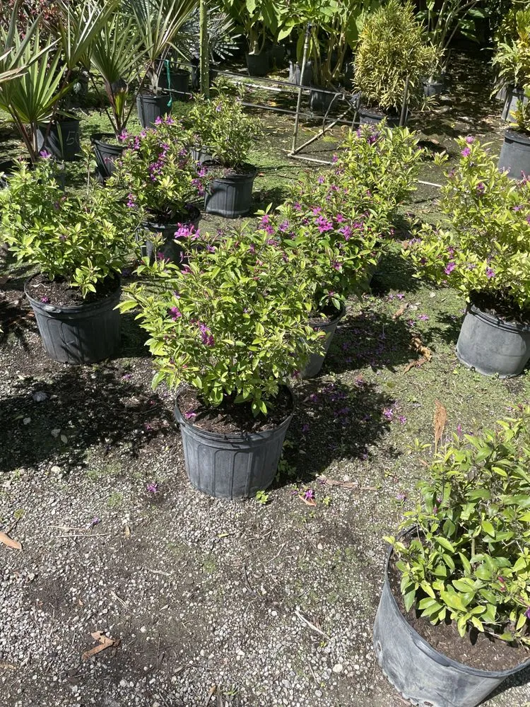 Reliable landscape installation for homes in Punta Gorda, FL by All In One Irrigation And Repair