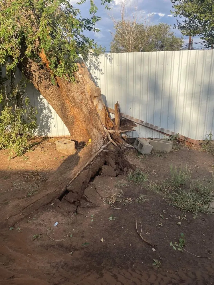 Expert residential landscaping for homes across Odessa, TX - All in One Land Management