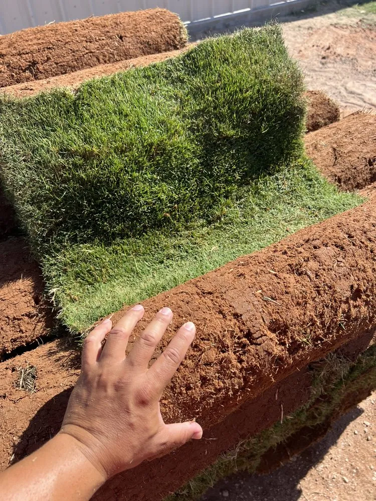 Local yard maintenance with custom design in Odessa, TX by All in One Land Management