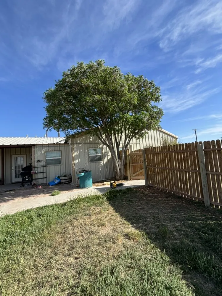 Custom lawn care service in Odessa, TX - All in One Land Management