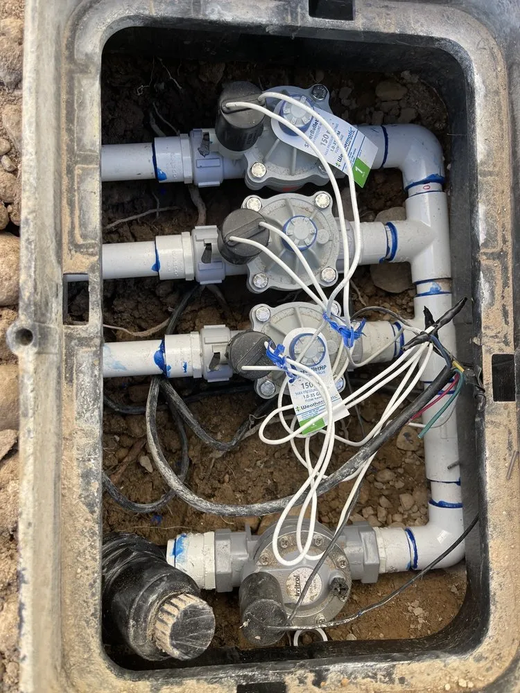 Expert yard maintenance near you in Las Vegas, NV by All In One Landscape