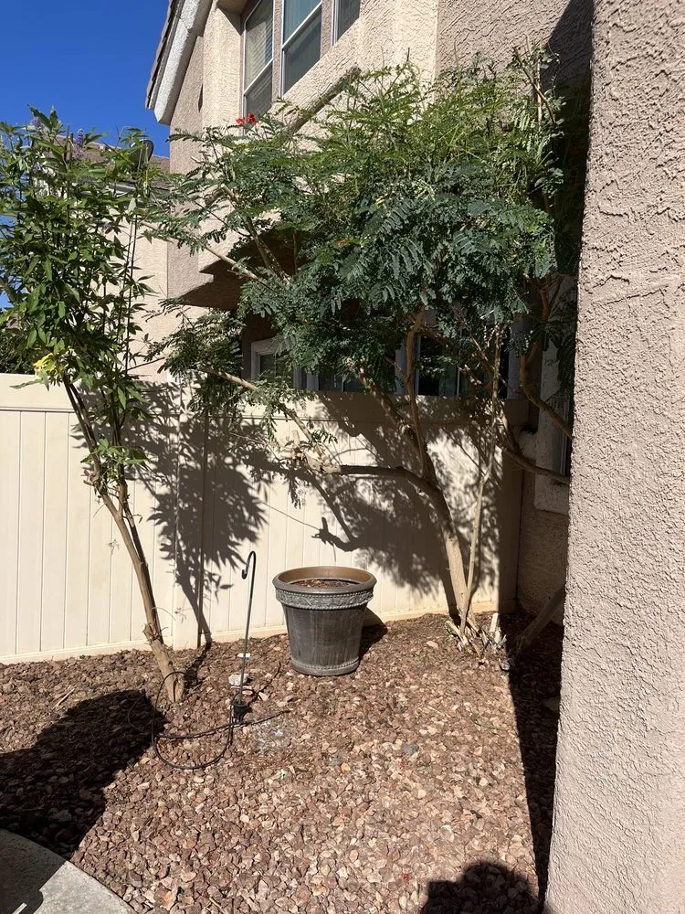 Professional landscape installation in Las Vegas, NV by All In One Landscape