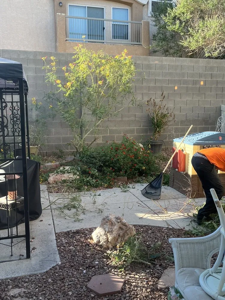 Reliable yard cleanup service experts serving Las Vegas, NV - All In One Landscape