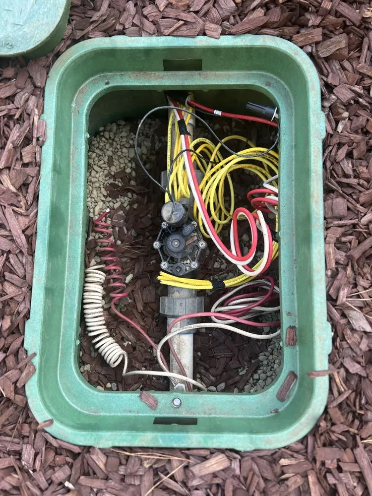 Affordable outdoor landscaping for homes in San Bruno, CA by All in One Landscape Services