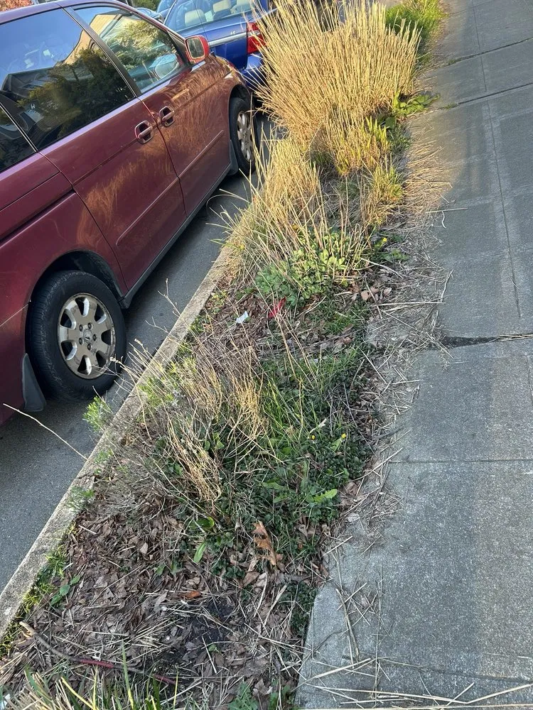 Trusted yard maintenance for homes across Mill Creek, WA - All In One Landscaping And Fencing