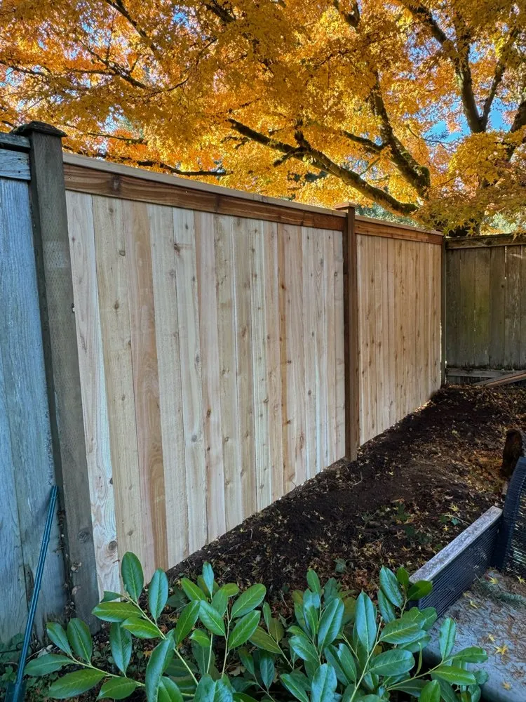 Reliable landscaping services near you across Mill Creek, WA - All In One Landscaping And Fencing