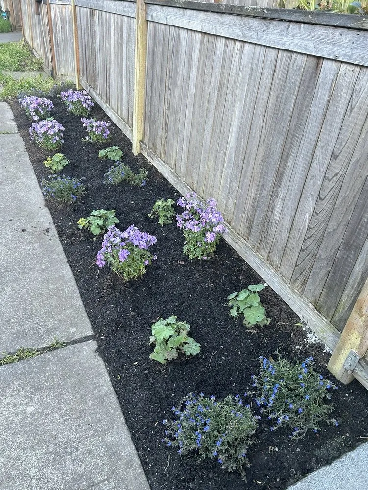 Professional lawn mowing service in Mill Creek, WA - All In One Landscaping And Fencing