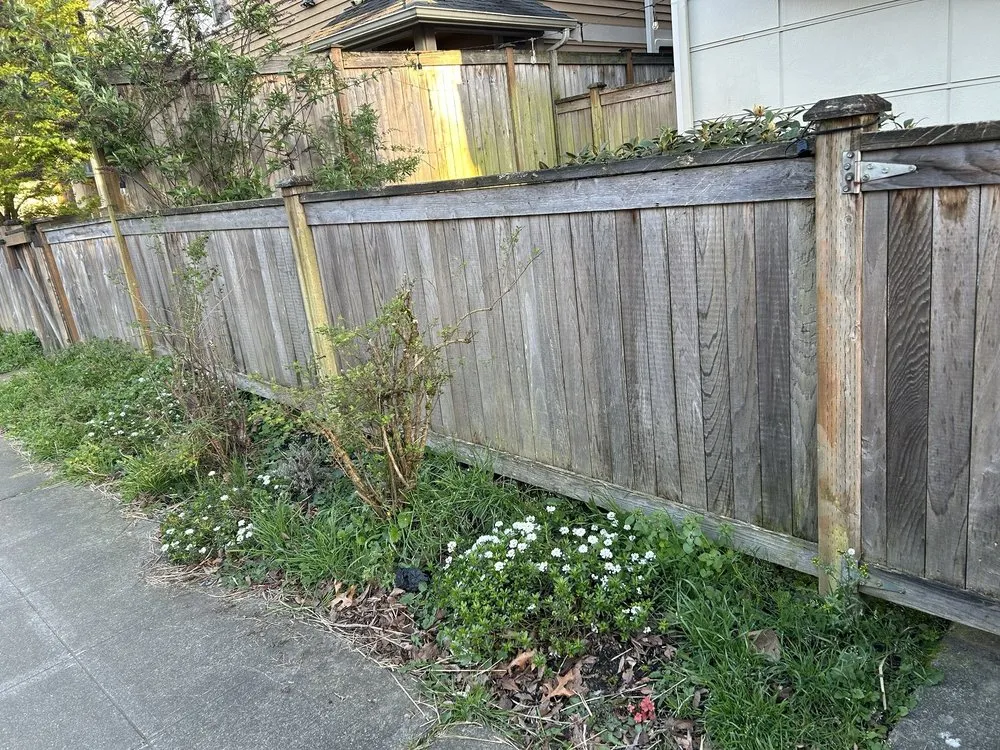 Professional garden landscaping in Mill Creek, WA - All In One Landscaping And Fencing