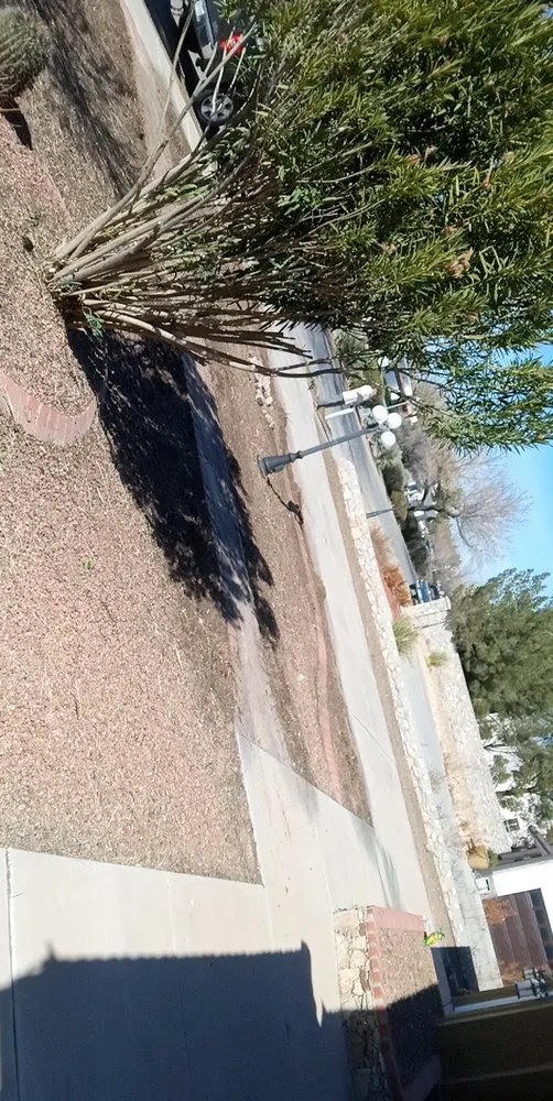 Reliable outdoor landscaping for homes in Canutillo, TX by All In One Landscaping