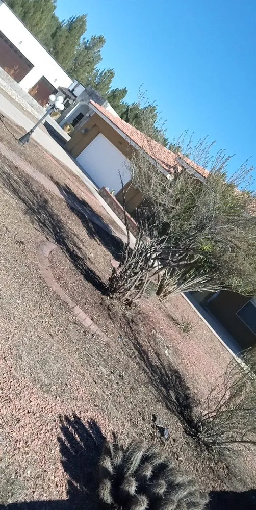 Local landscaping services in Canutillo, TX - All In One Landscaping