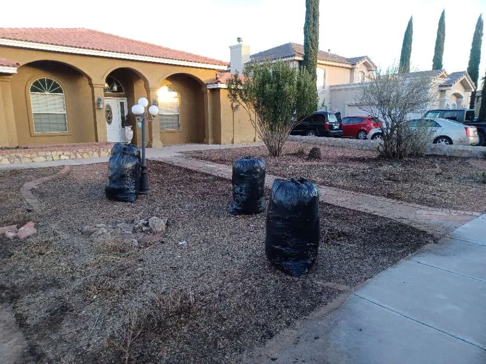 Top-rated yard maintenance in Canutillo, TX by All In One Landscaping