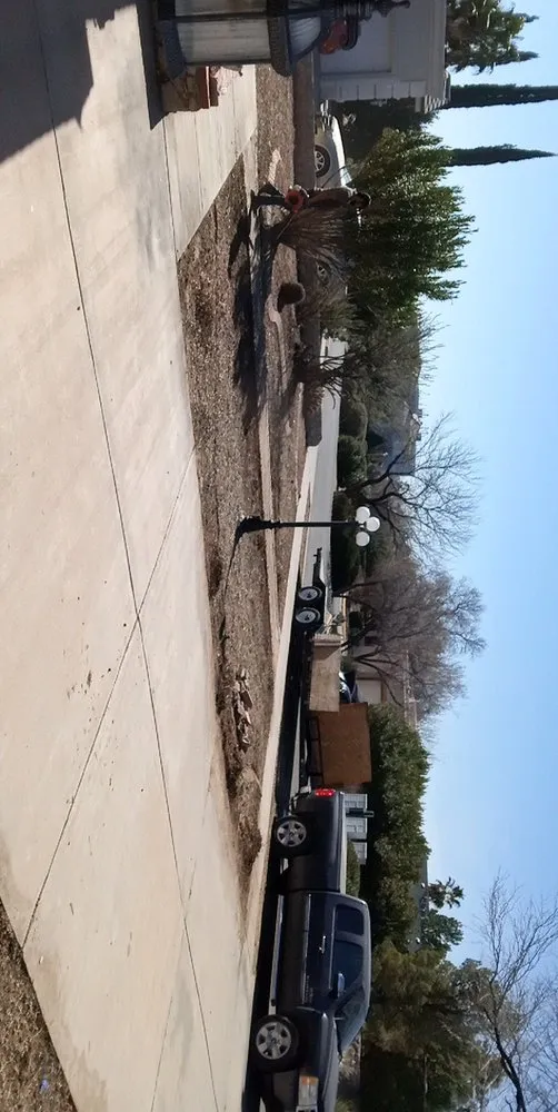 Professional yard cleanup service in Canutillo, TX - All In One Landscaping