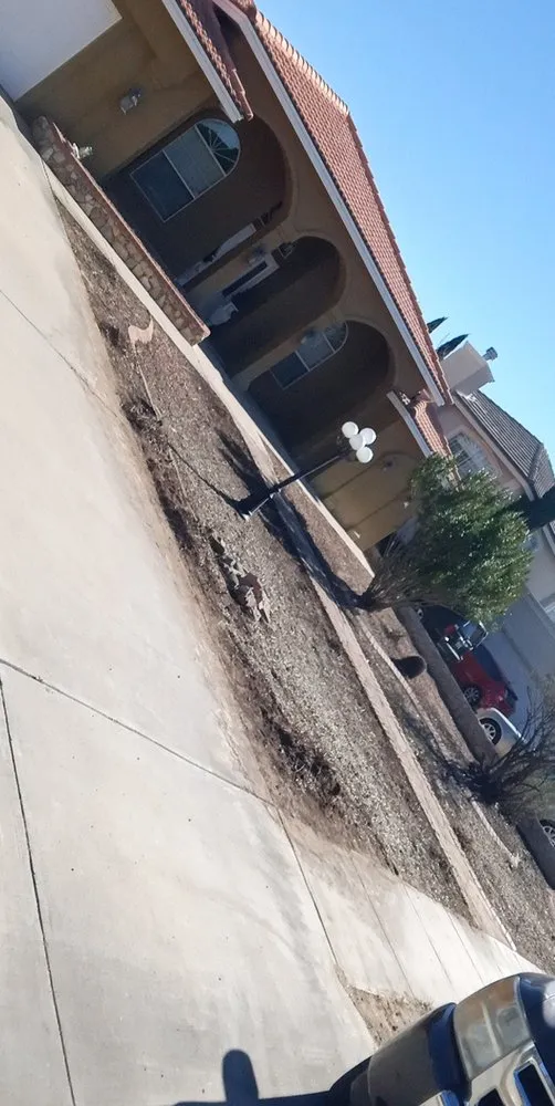 Affordable lawn care service experts serving Canutillo, TX - All In One Landscaping