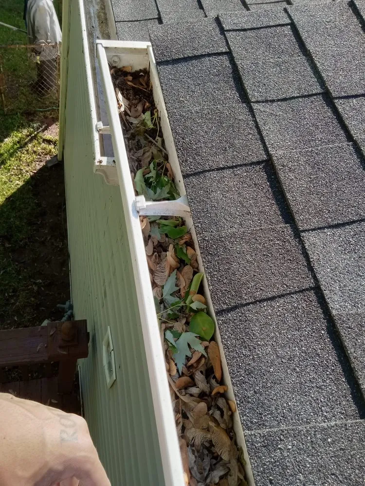 Custom landscape design for outdoor upgrades in Dover, DE by All in one Landscaping