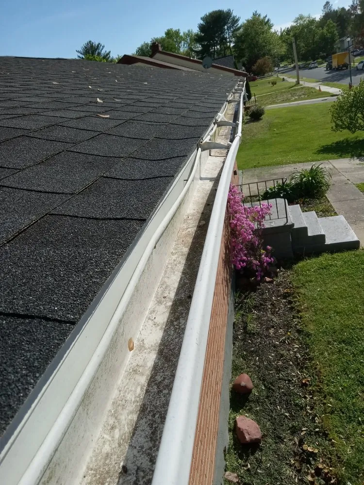 Reliable landscaping services experts serving Dover, DE - All in one Landscaping