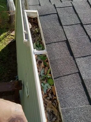 All in one Landscaping Logo