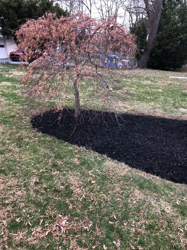 Top-rated yard maintenance in Fleetwood, PA by All in One Landscaping