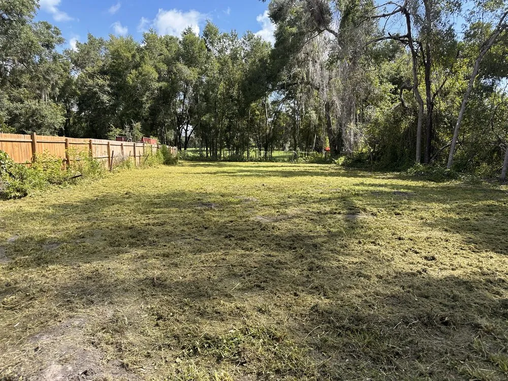 Expert landscape installation in Ridge Manor, FL by All In One Landscaping