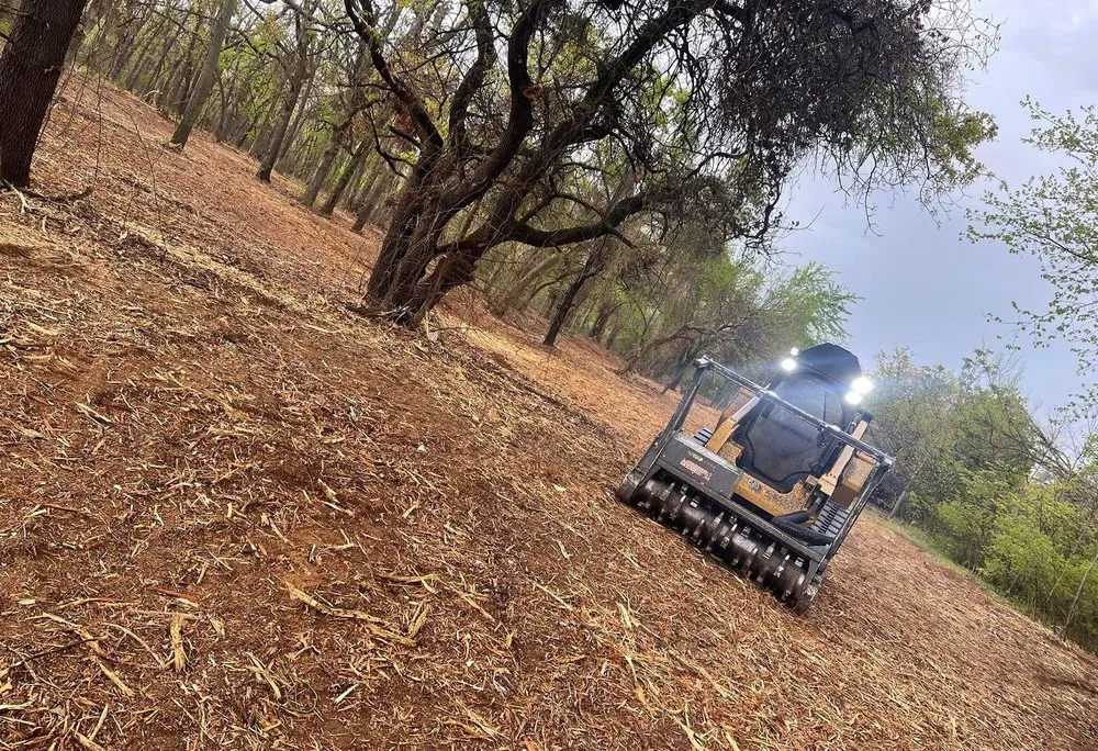 Expert lawn care service for residential properties across Ridge Manor, FL - All In One Landscaping