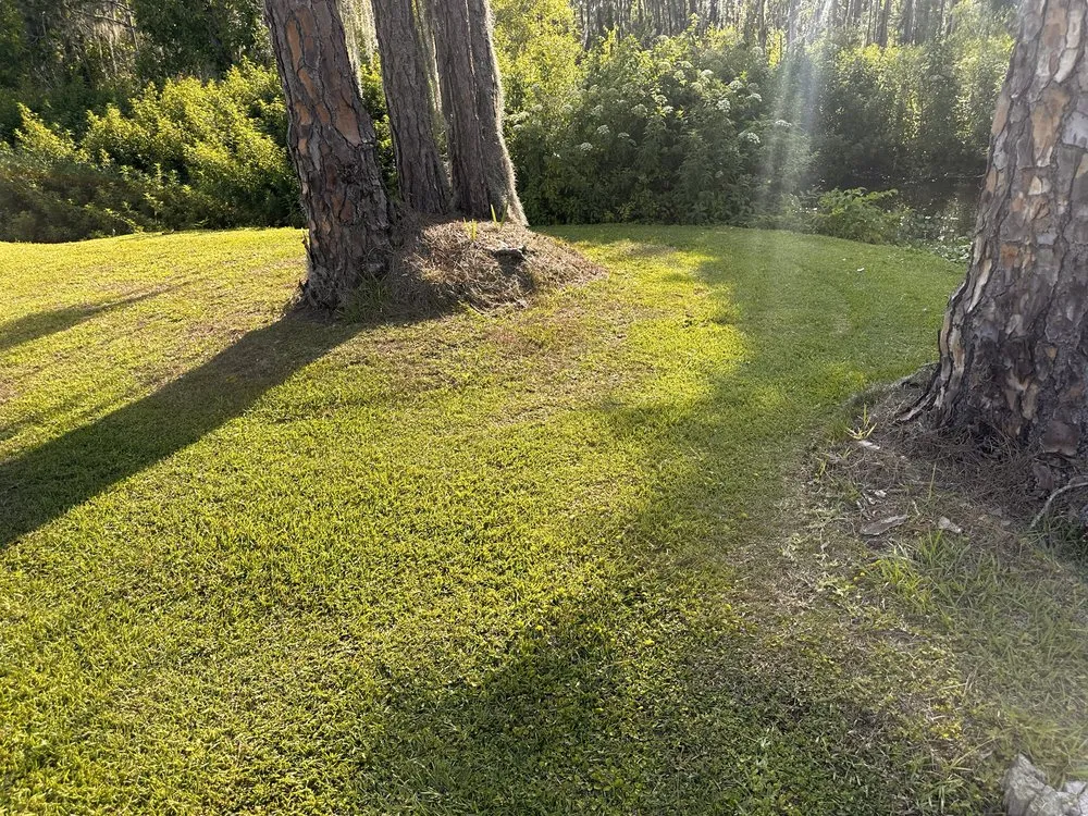 Affordable lawn care service in Ridge Manor, FL by All In One Landscaping