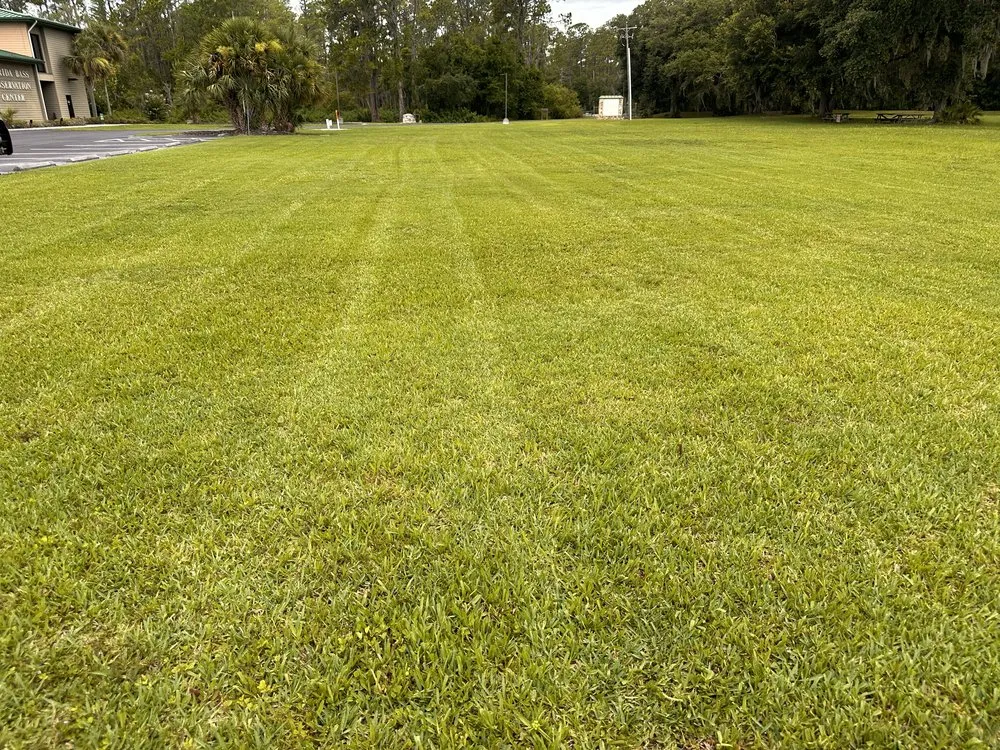 Local yard cleanup service for residential properties in Ridge Manor, FL by All In One Landscaping