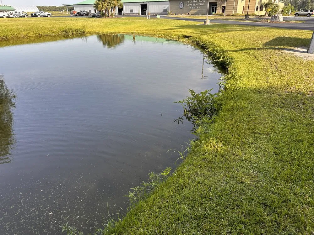 Local landscaping services experts serving Ridge Manor, FL - All In One Landscaping