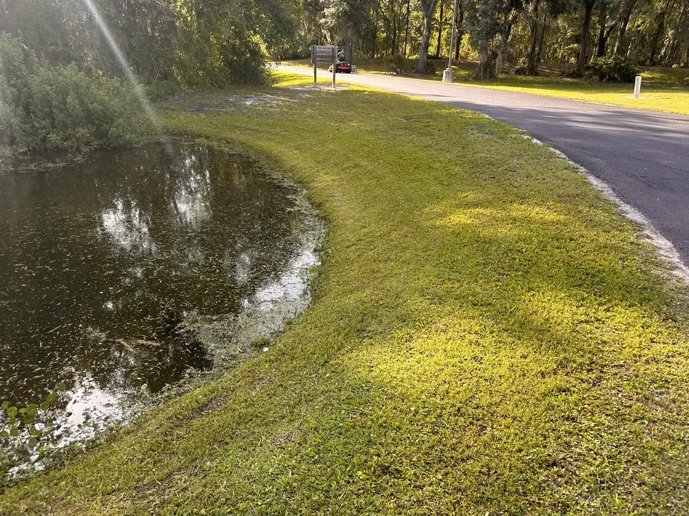 Trusted garden landscaping for residential properties in Ridge Manor, FL by All In One Landscaping