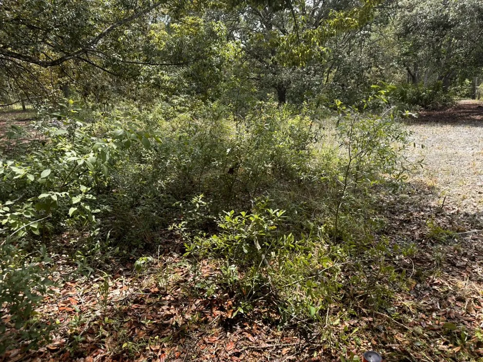 Reliable landscape installation for outdoor upgrades in Ridge Manor, FL by All In One Landscaping