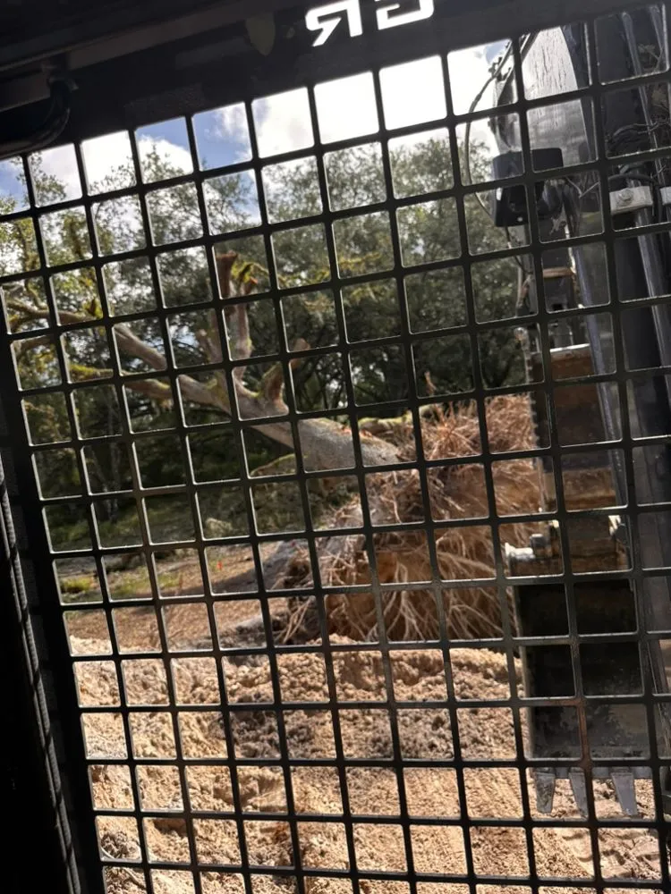 Professional landscape installation for residential properties across Ridge Manor, FL - All In One Landscaping