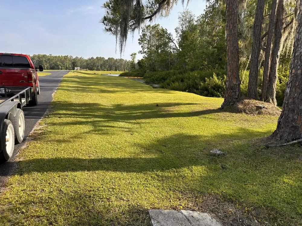 Reliable landscaping services for year-round maintenance in Ridge Manor, FL by All In One Landscaping