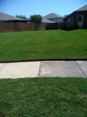 All in One Lawn Care Logo