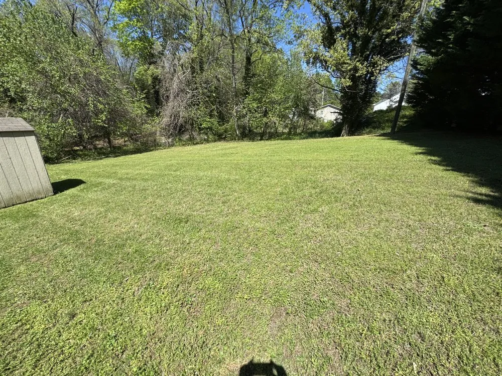 Trusted yard cleanup service for homes across High Point, NC - All-in-One Lawncare & Hauling