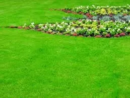 Professional yard maintenance in Melbourne, FL by All In One Lawns