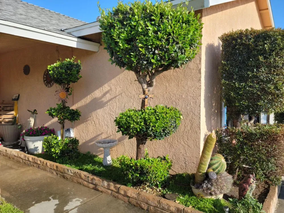 Local lawn care service experts serving Chino, CA - All In One Maintenance