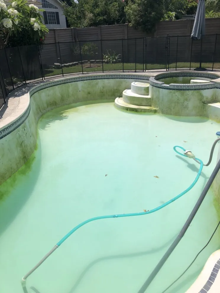 Affordable residential landscaping for beautiful yards across Chino, CA - All In One Maintenance