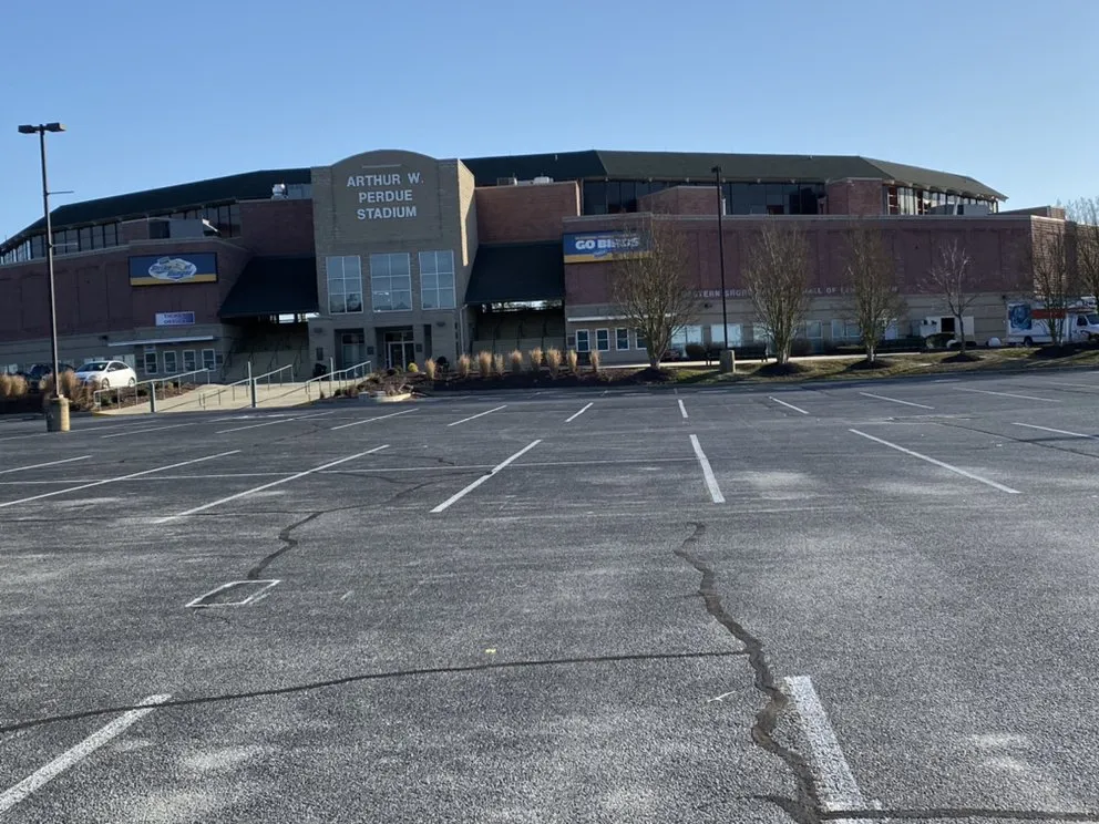 Affordable residential landscaping for outdoor upgrades across Salisbury, MD - All In One Maintenance