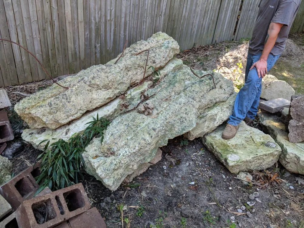 Affordable yard cleanup service for year-round maintenance in Salisbury, MD by All In One Maintenance