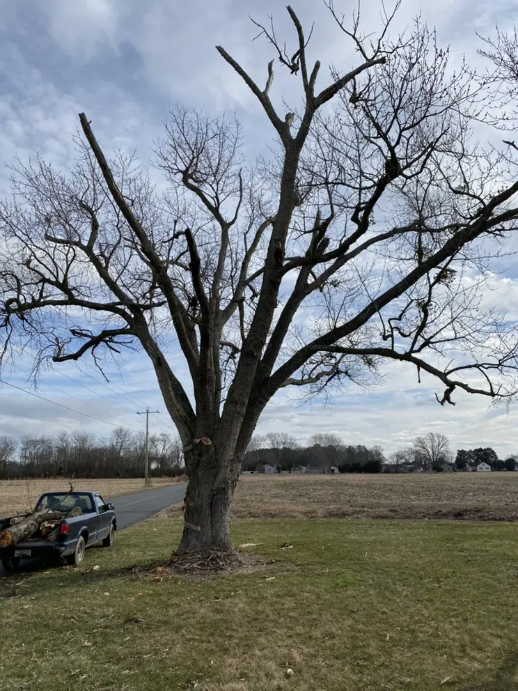Affordable garden landscaping in Salisbury, MD - All In One Maintenance