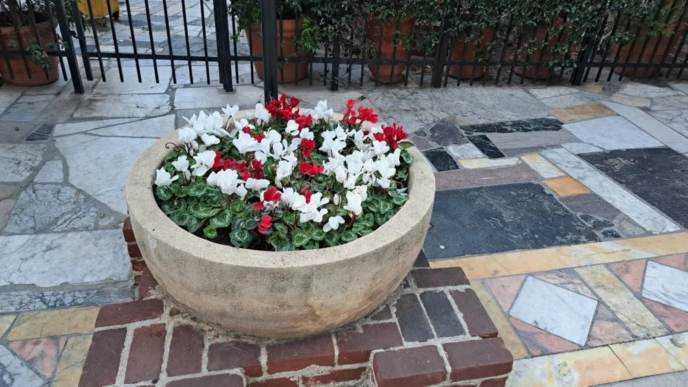 Top-rated residential landscaping in Midway City, CA by All-In-One Painting