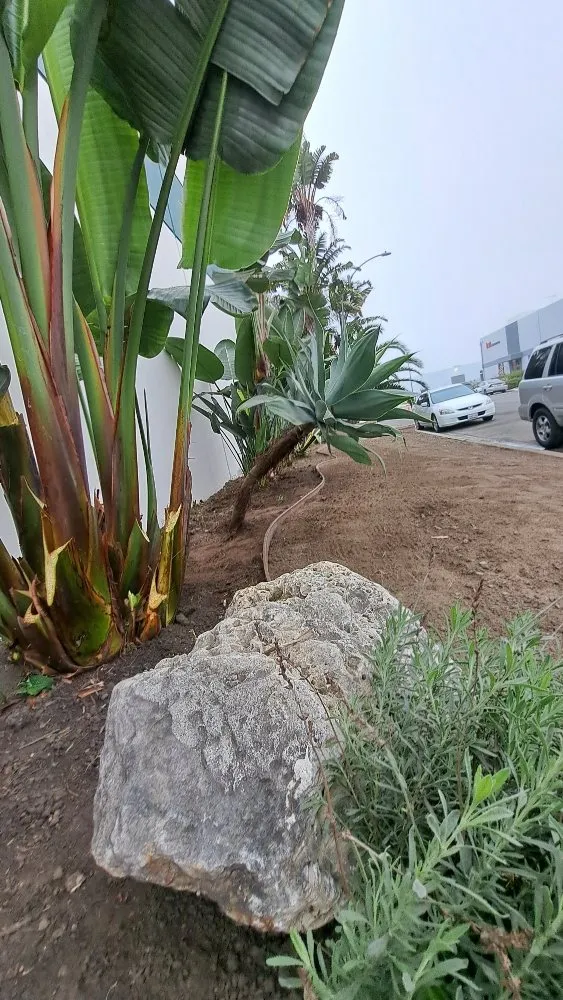 Expert lawn mowing service in Midway City, CA by All-In-One Painting