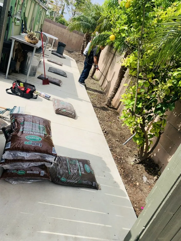 Affordable outdoor landscaping for outdoor upgrades across Midway City, CA - All-In-One Painting