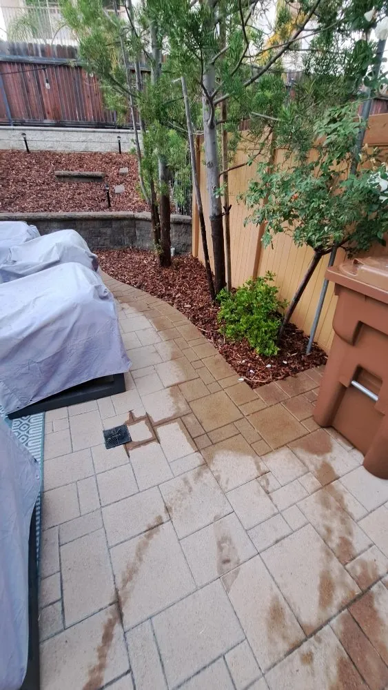 Local landscape installation in Midway City, CA - All-In-One Painting