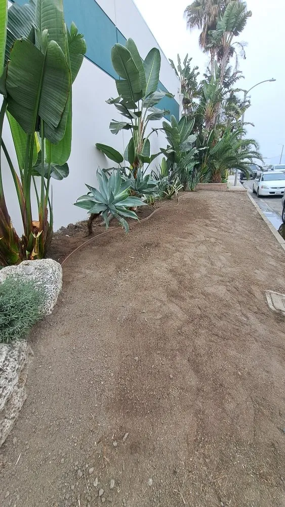 Local garden landscaping experts serving Midway City, CA - All-In-One Painting