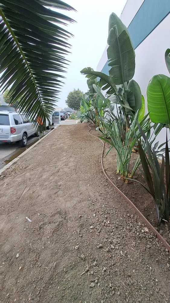 Custom lawn care service near you in Midway City, CA by All-In-One Painting