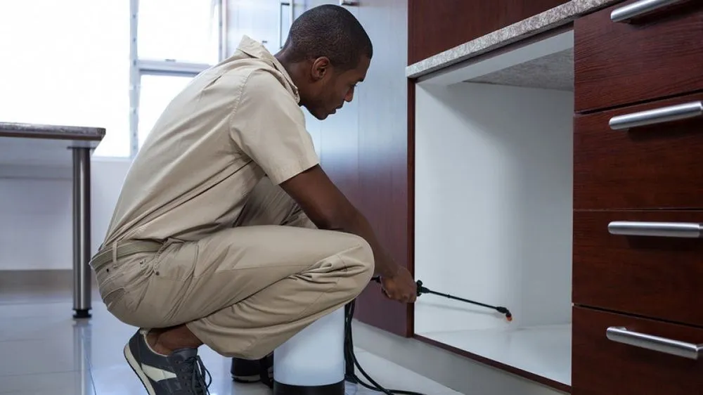 Custom lawn care service for beautiful yards in Iola, KS by All in One Pest Home and Lawn