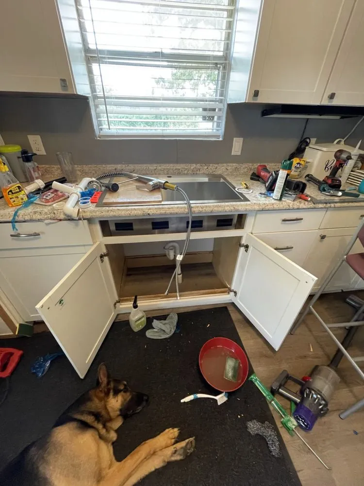 Local yard cleanup service in Waller, TX by All in One Pro Services