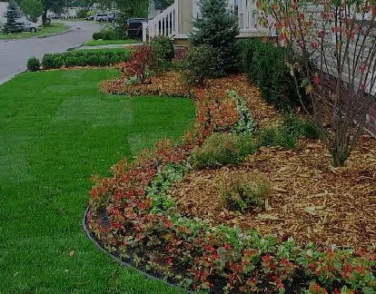 Local residential landscaping for outdoor upgrades in Westland, MI by All In One Service Group
